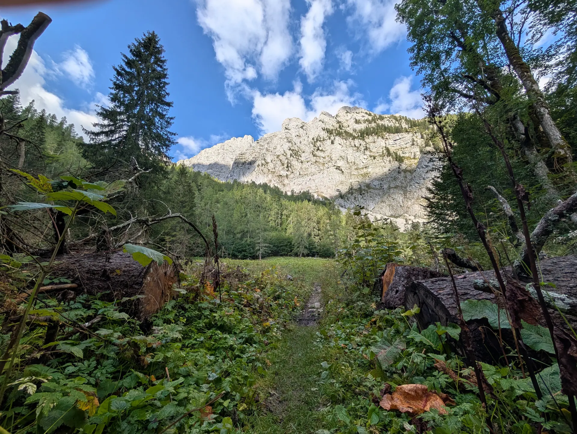 Bergtour des DAV auf die Schärtenspitze | © Berger Florian
