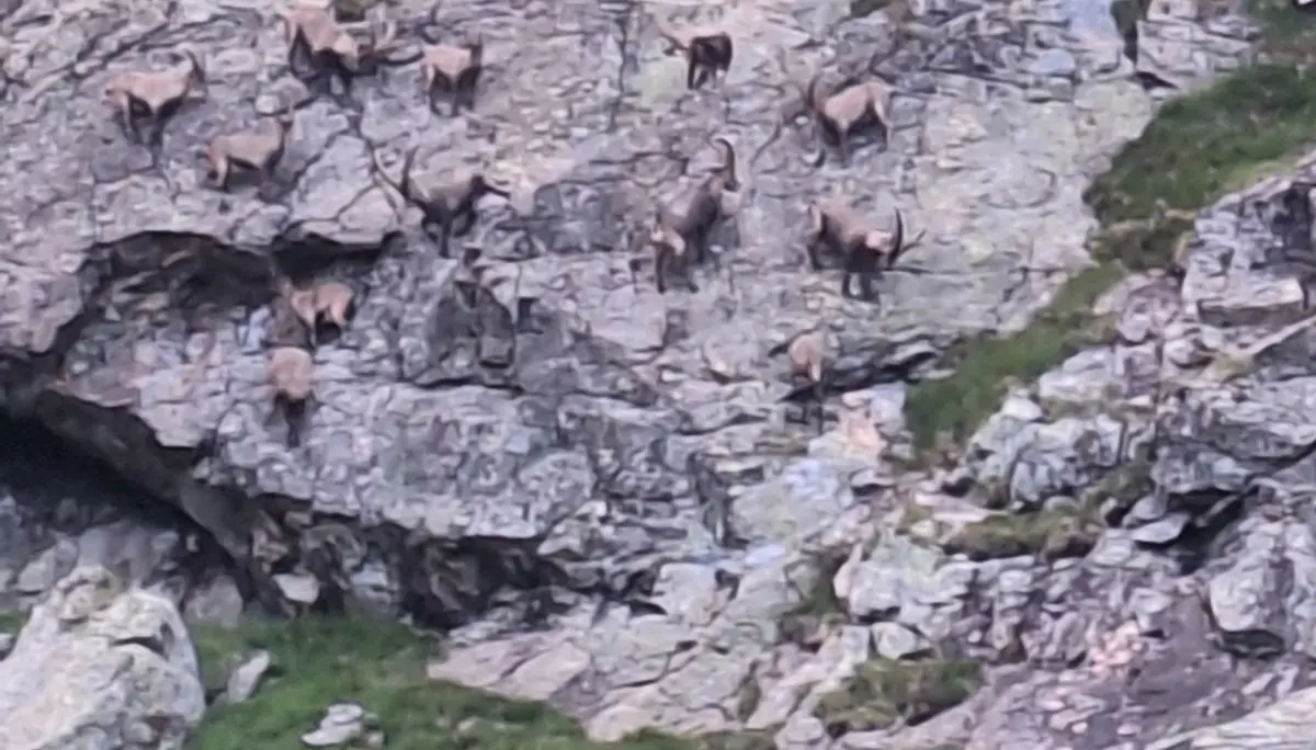 Von Hütte zu Hütte durch das wilde Herz des Verwalls | © Hartinger Manfred