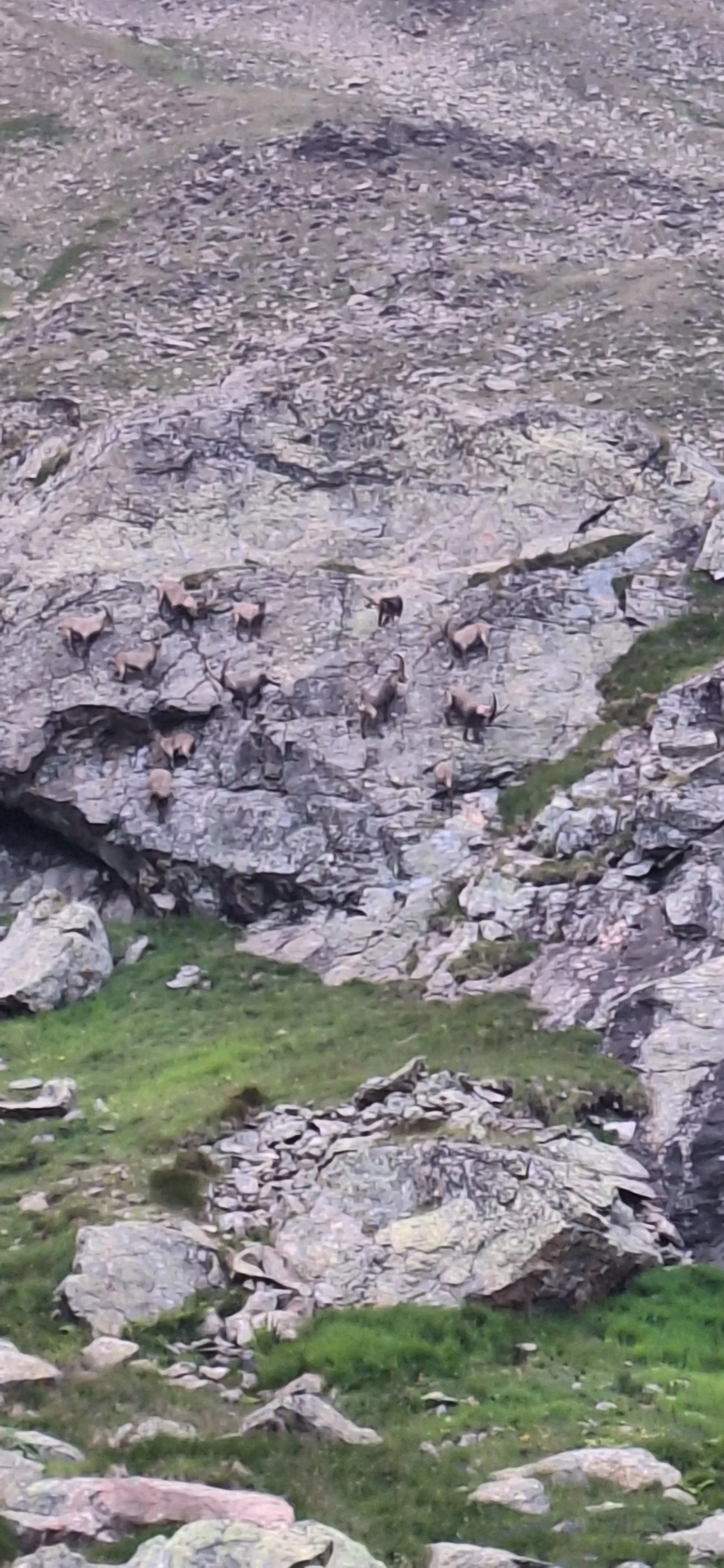 Von Hütte zu Hütte durch das wilde Herz des Verwalls | © Hartinger Manfred