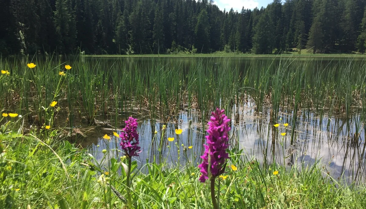 Vinschgau | © Vinschgau