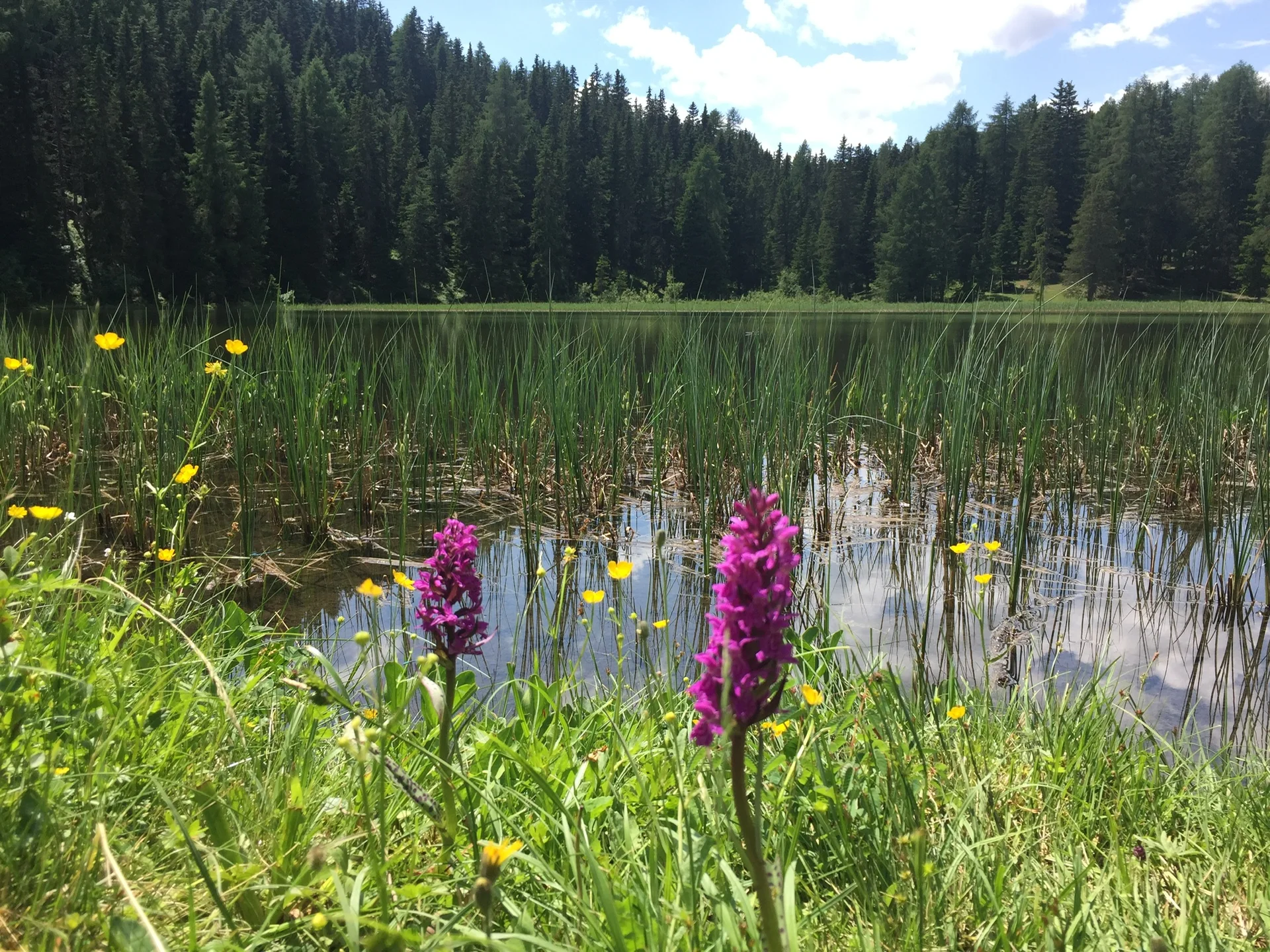 Vinschgau | © Vinschgau