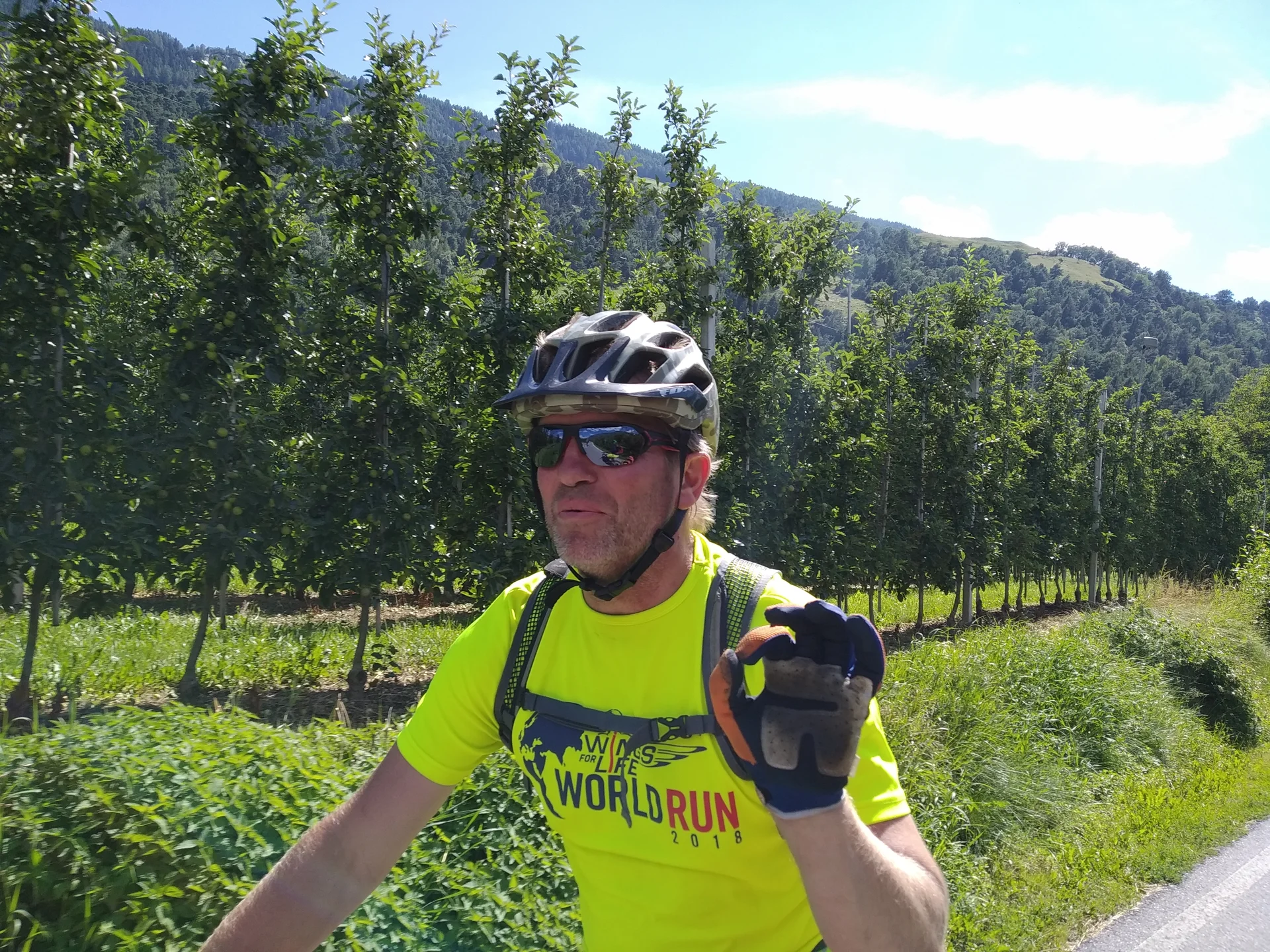 Vinschgau | © Vinschgau