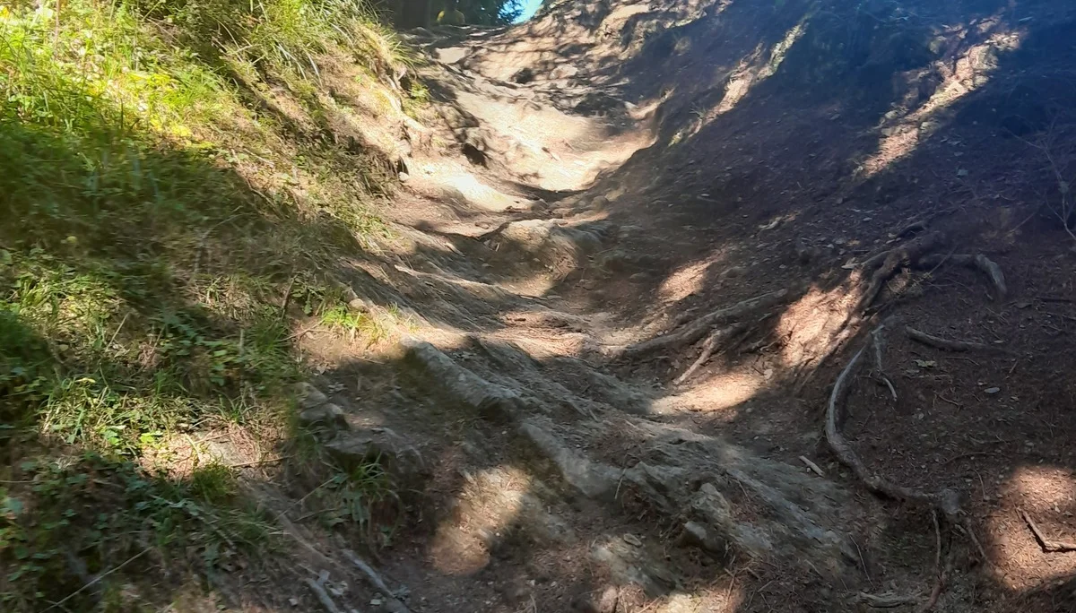 Alpencross | © Hartinger Manfred