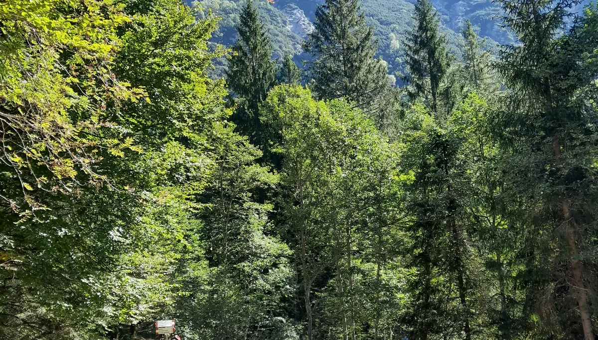 Alpencross | © Hartinger Manfred