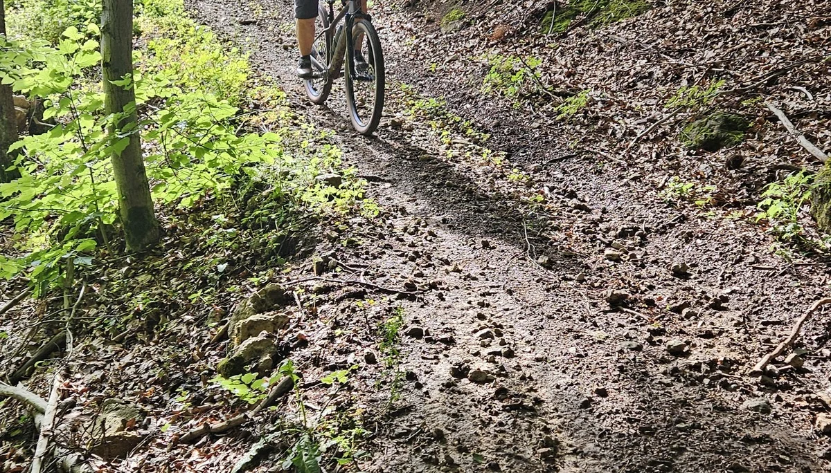 Biken um Obertrubach | © Hartinger Manfred
