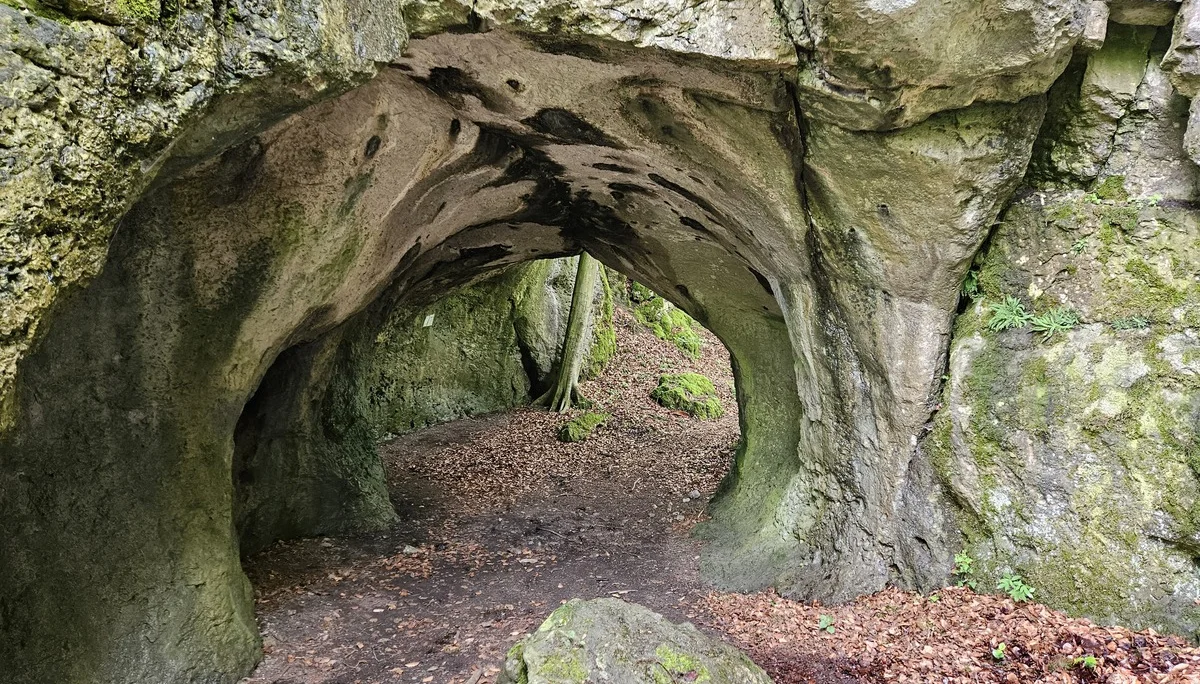 Biken um Obertrubach | © Hartinger Manfred