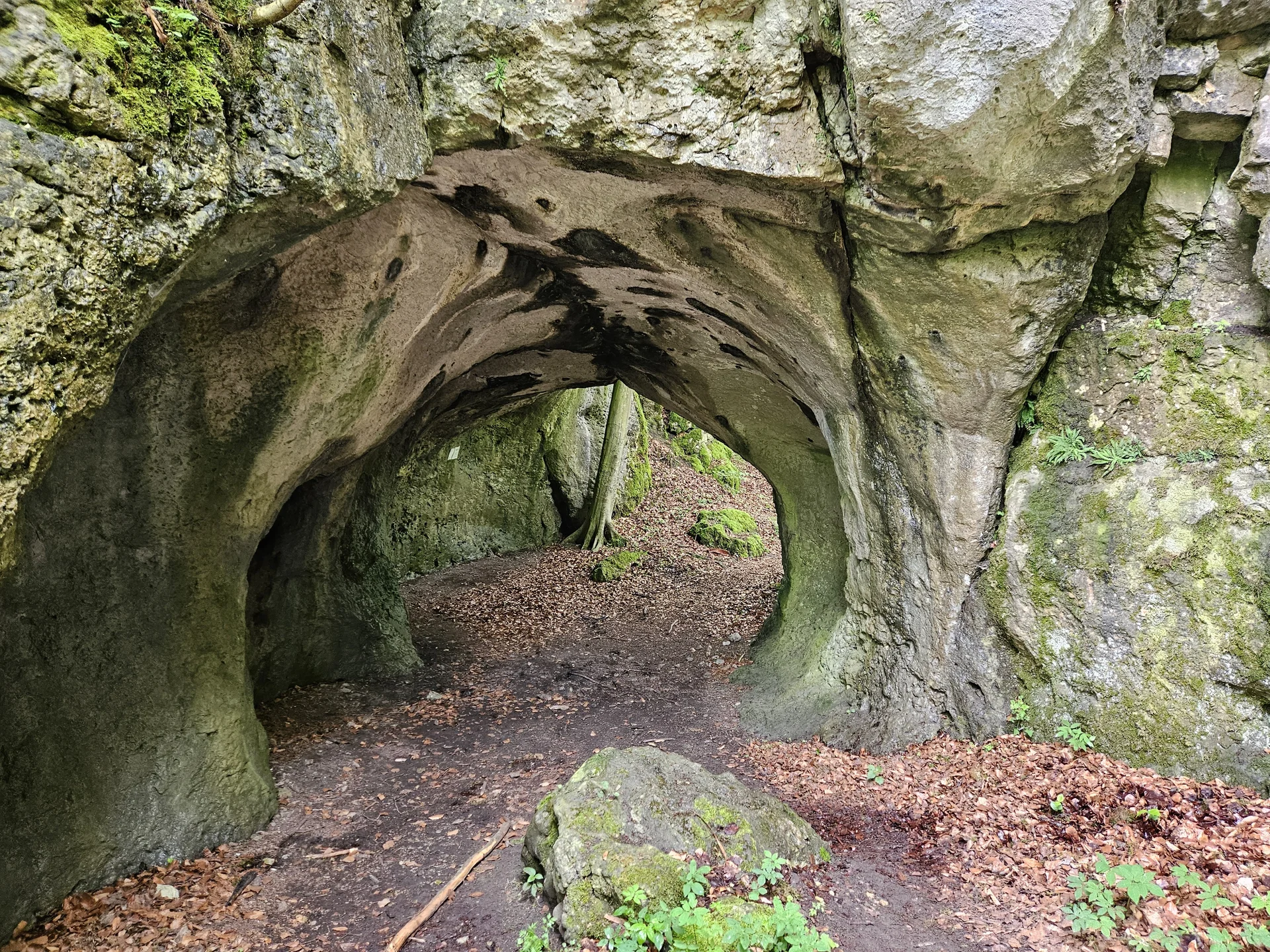 Biken um Obertrubach | © Hartinger Manfred