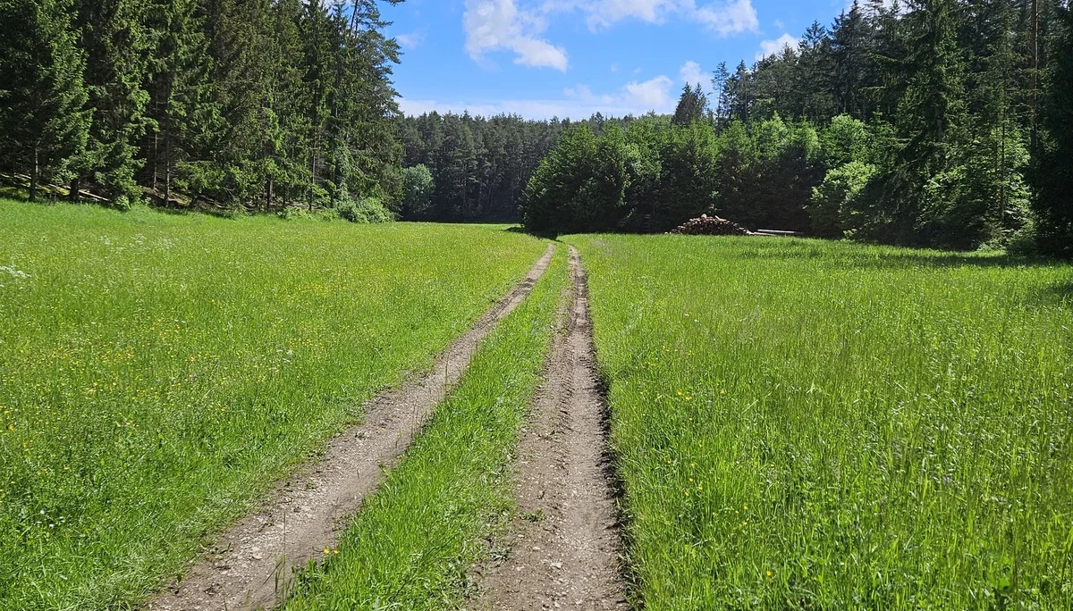Biken um Obertrubach | © Hartinger Manfred