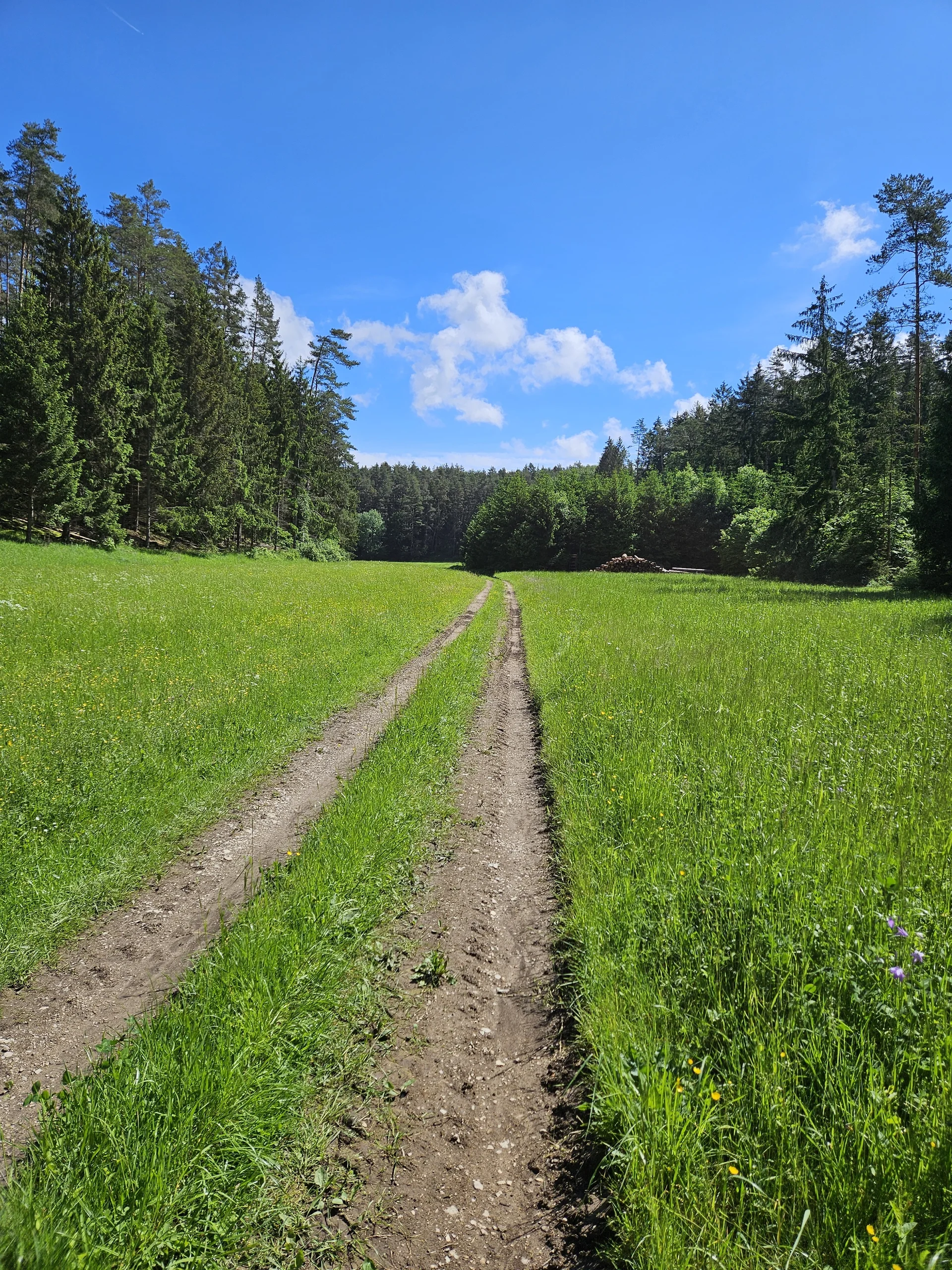Biken um Obertrubach | © Hartinger Manfred