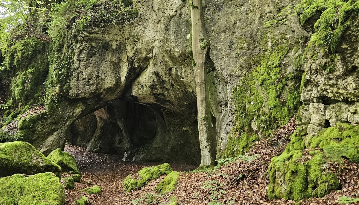Biken um Obertrubach | © Hartinger Manfred