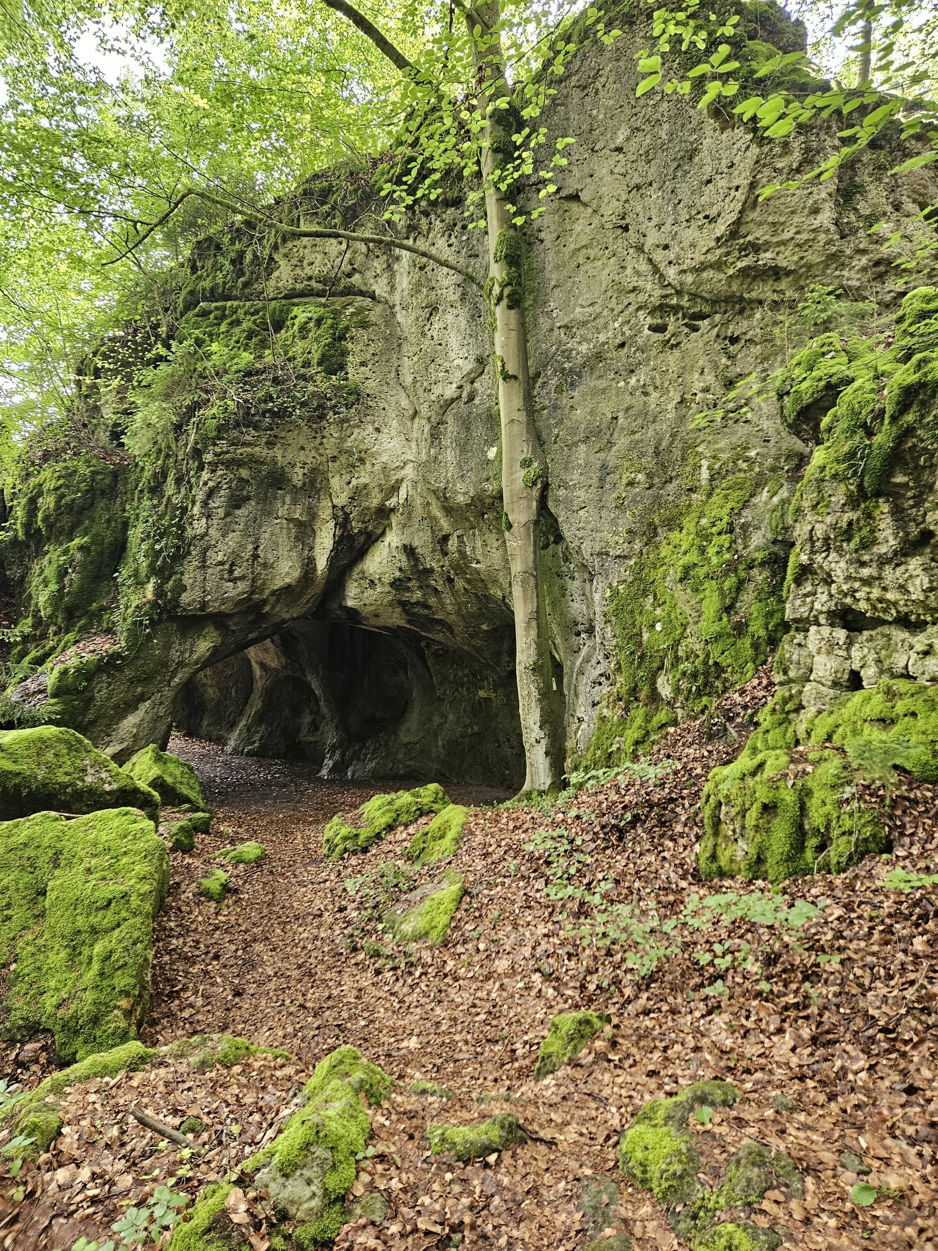 Biken um Obertrubach | © Hartinger Manfred