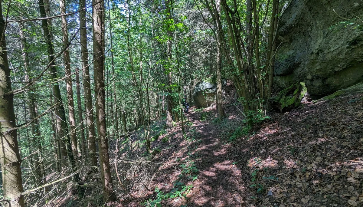 Biken um Obertrubach | © Hartinger Manfred