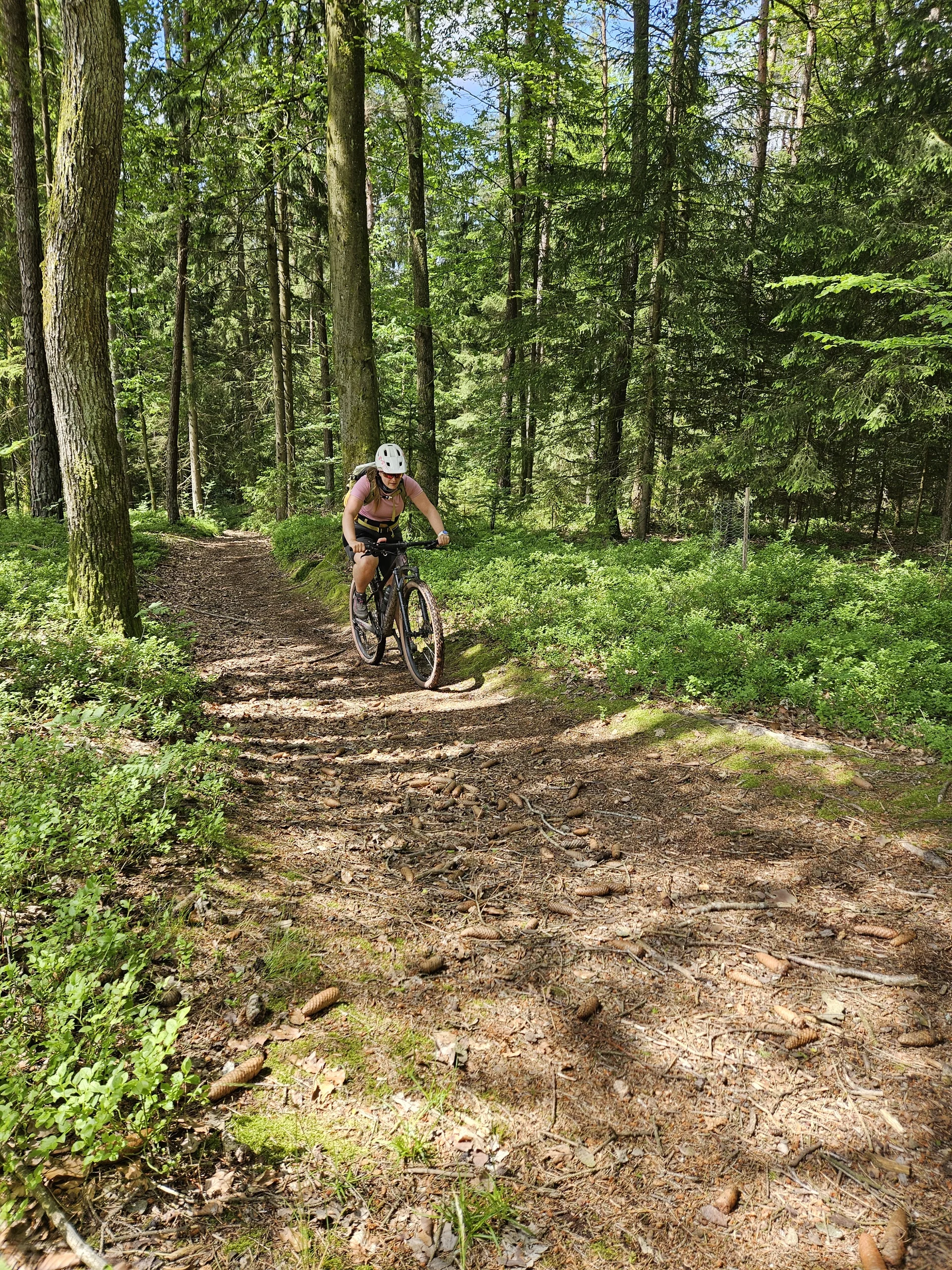 Biken um Obertrubach | © Hartinger Manfred