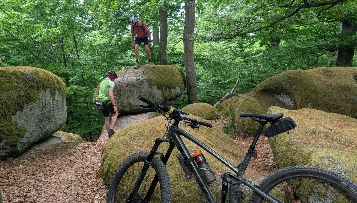 Biken im Regental | © Hartinger Manfred