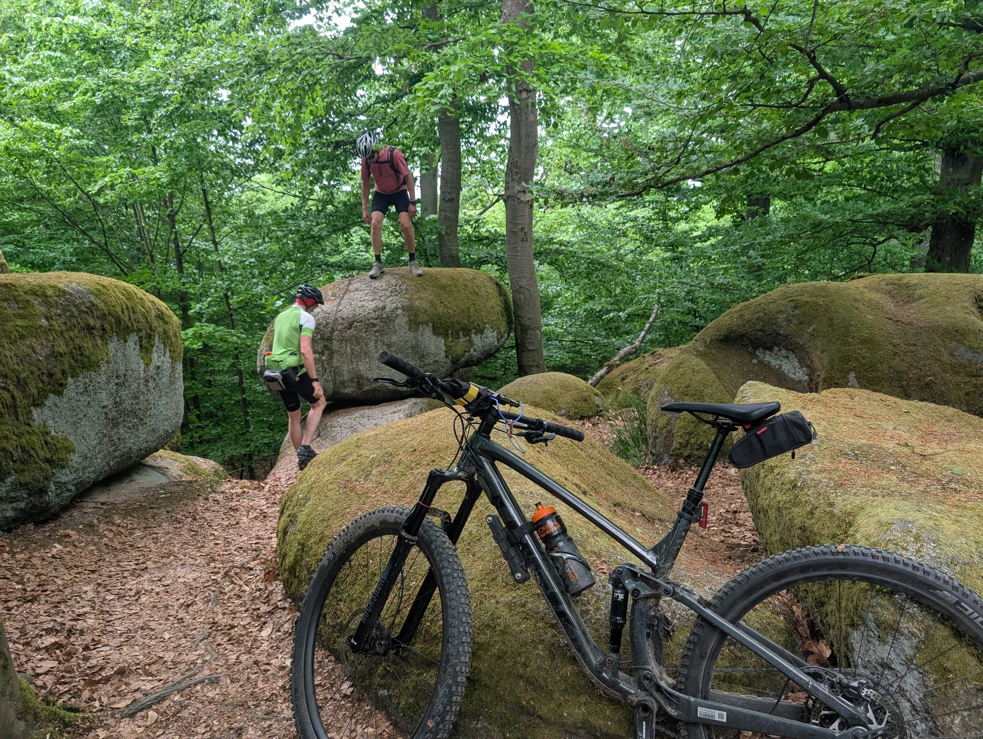 Biken im Regental | © Hartinger Manfred