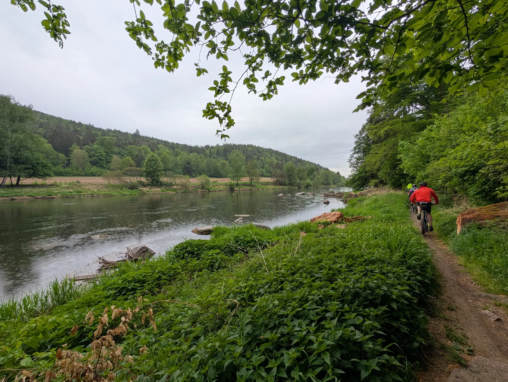 Biken im Regental | © Hartinger Manfred
