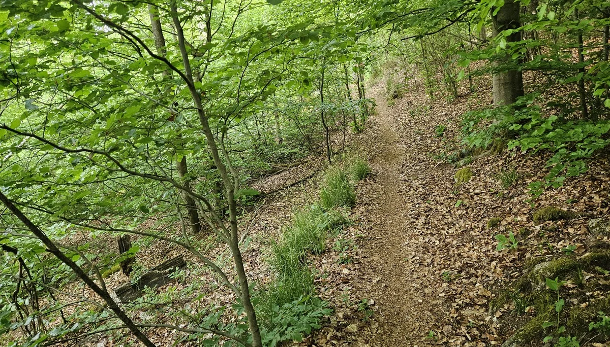 Biken im Regental | © Hartinger Manfred