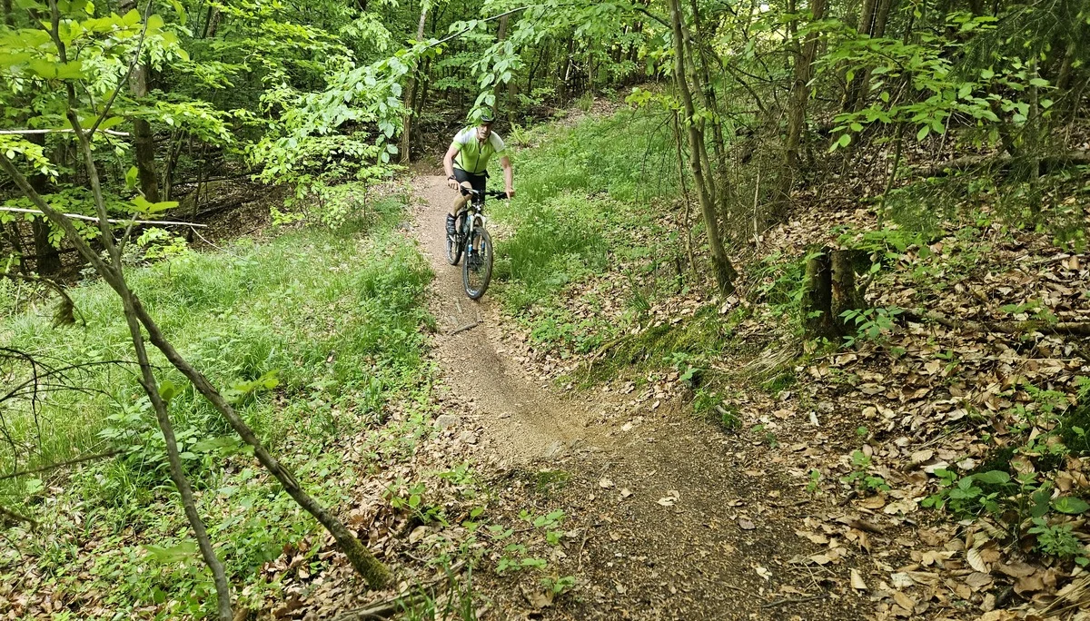 Biken im Regental | © Hartinger Manfred