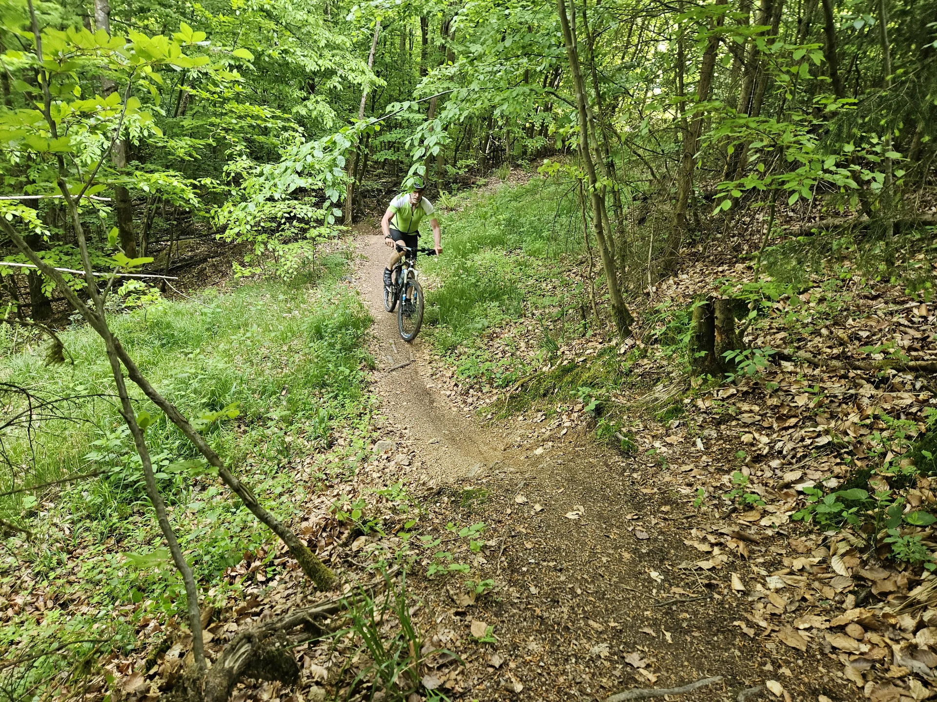 Biken im Regental | © Hartinger Manfred