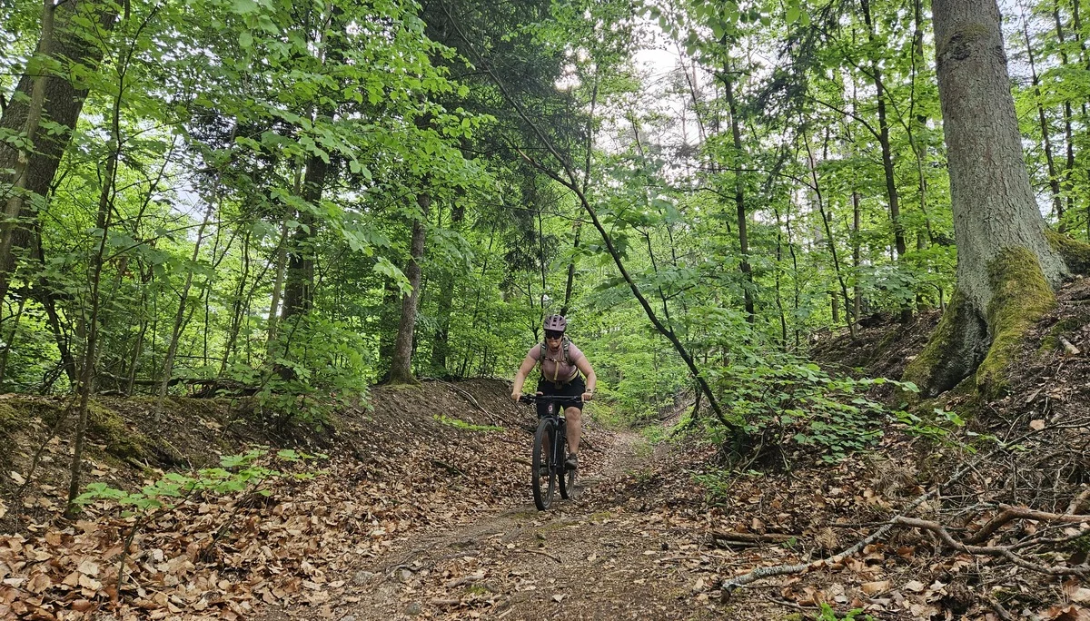 Biken im Regental | © Hartinger Manfred