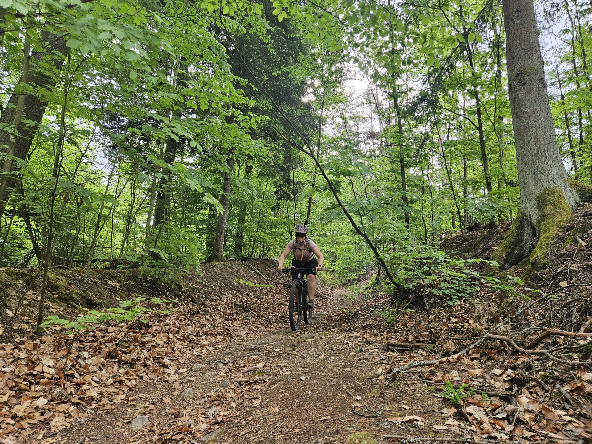 Biken im Regental | © Hartinger Manfred