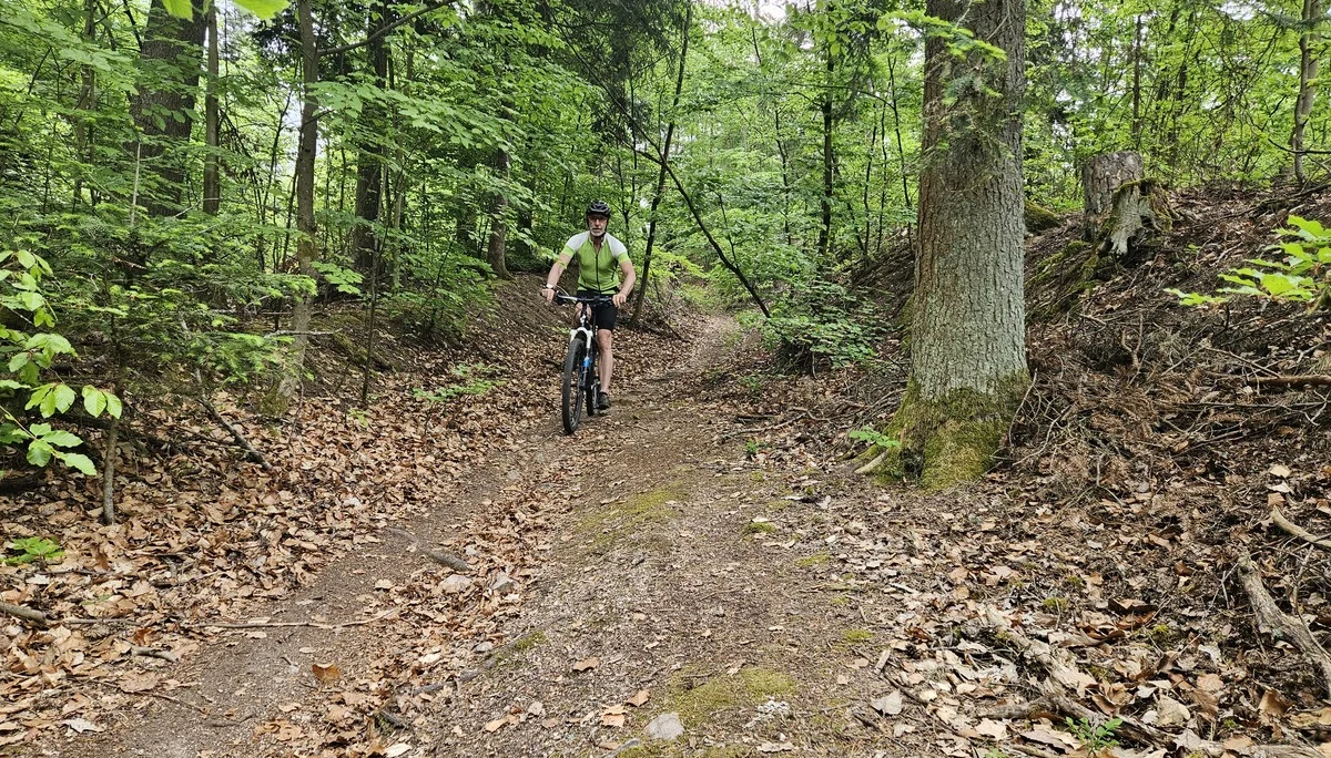Biken im Regental | © Hartinger Manfred