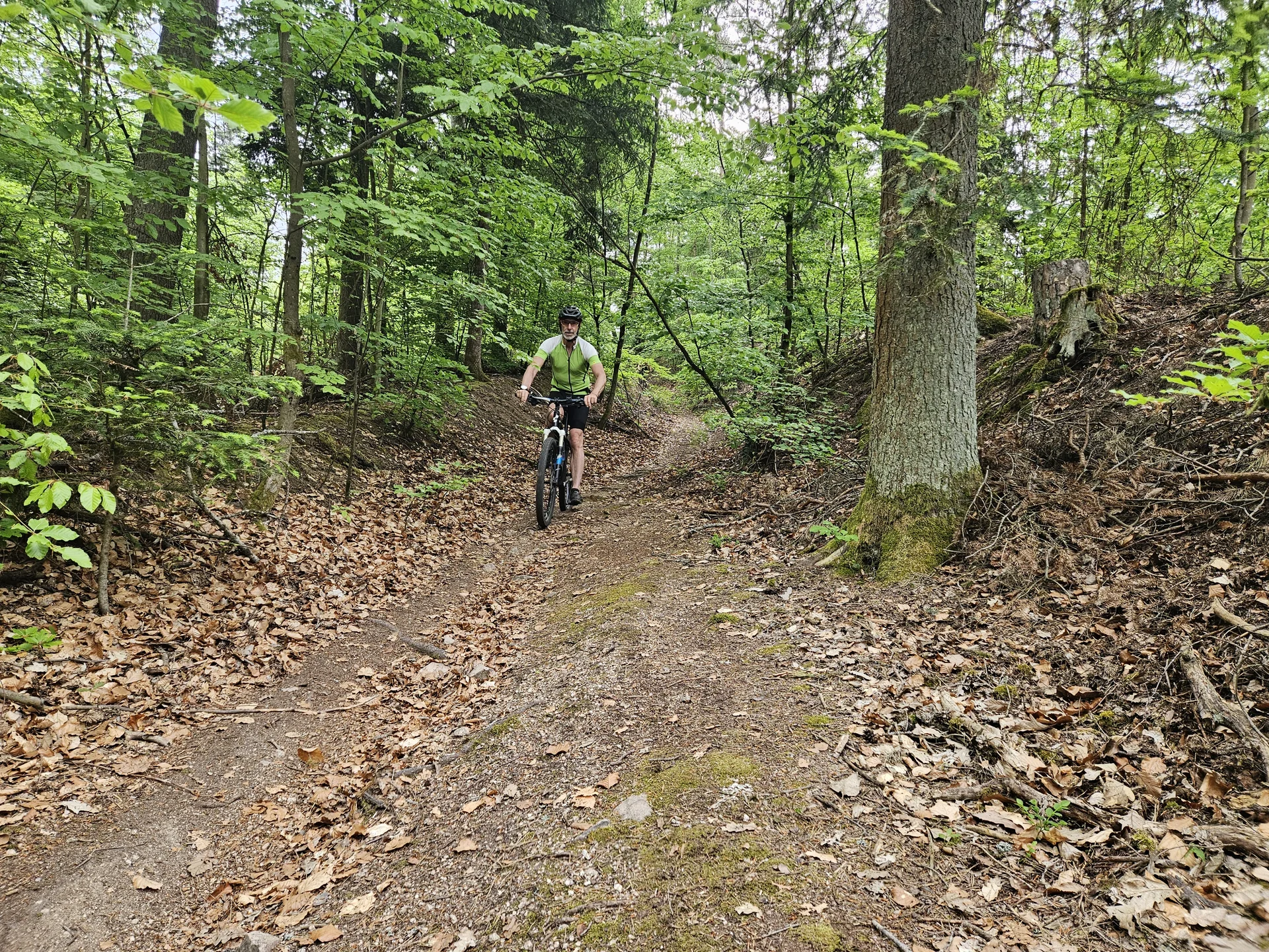 Biken im Regental | © Hartinger Manfred