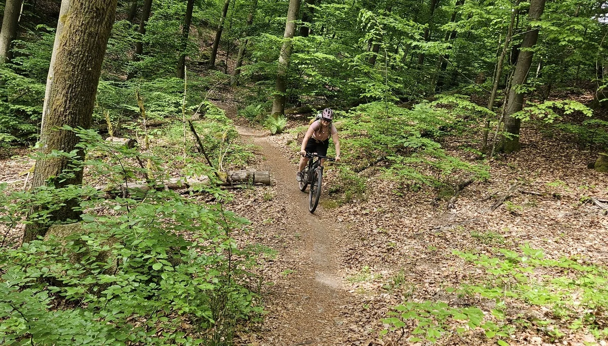 Biken im Regental | © Hartinger Manfred