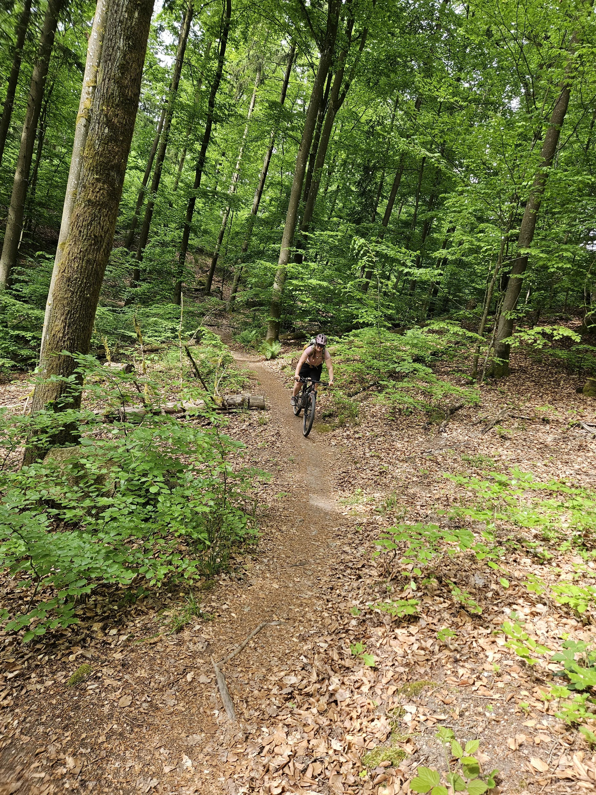 Biken im Regental | © Hartinger Manfred