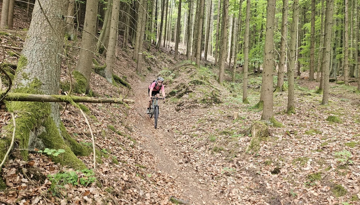 Biken im Regental | © Hartinger Manfred