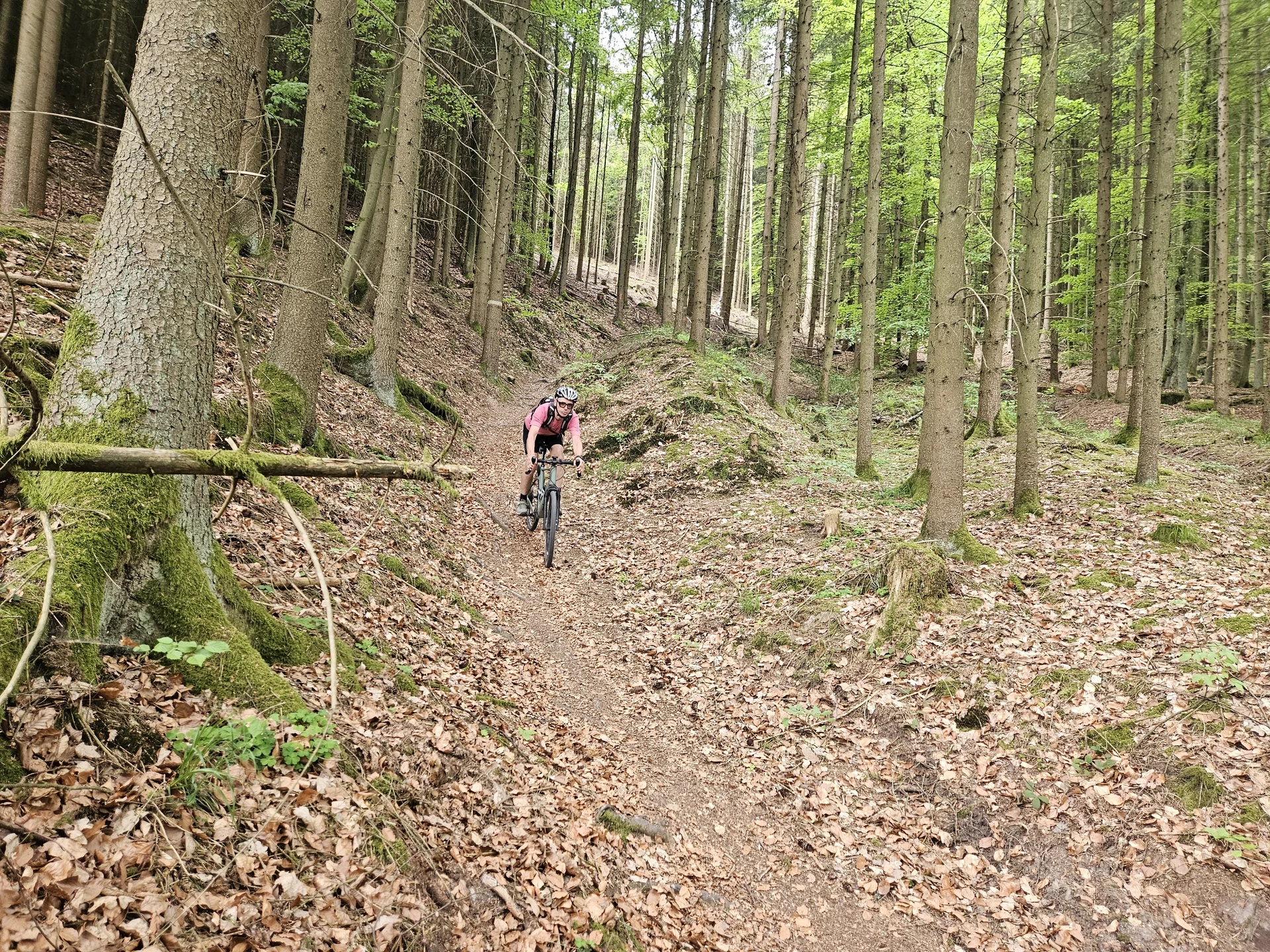 Biken im Regental | © Hartinger Manfred