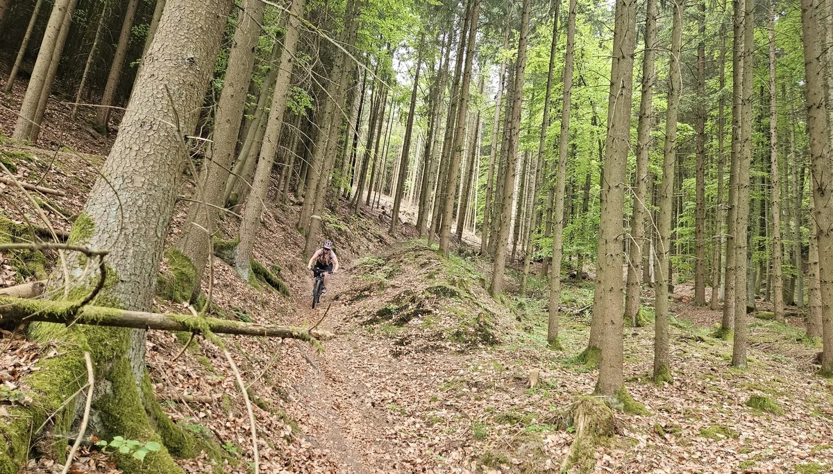 Biken im Regental | © Hartinger Manfred