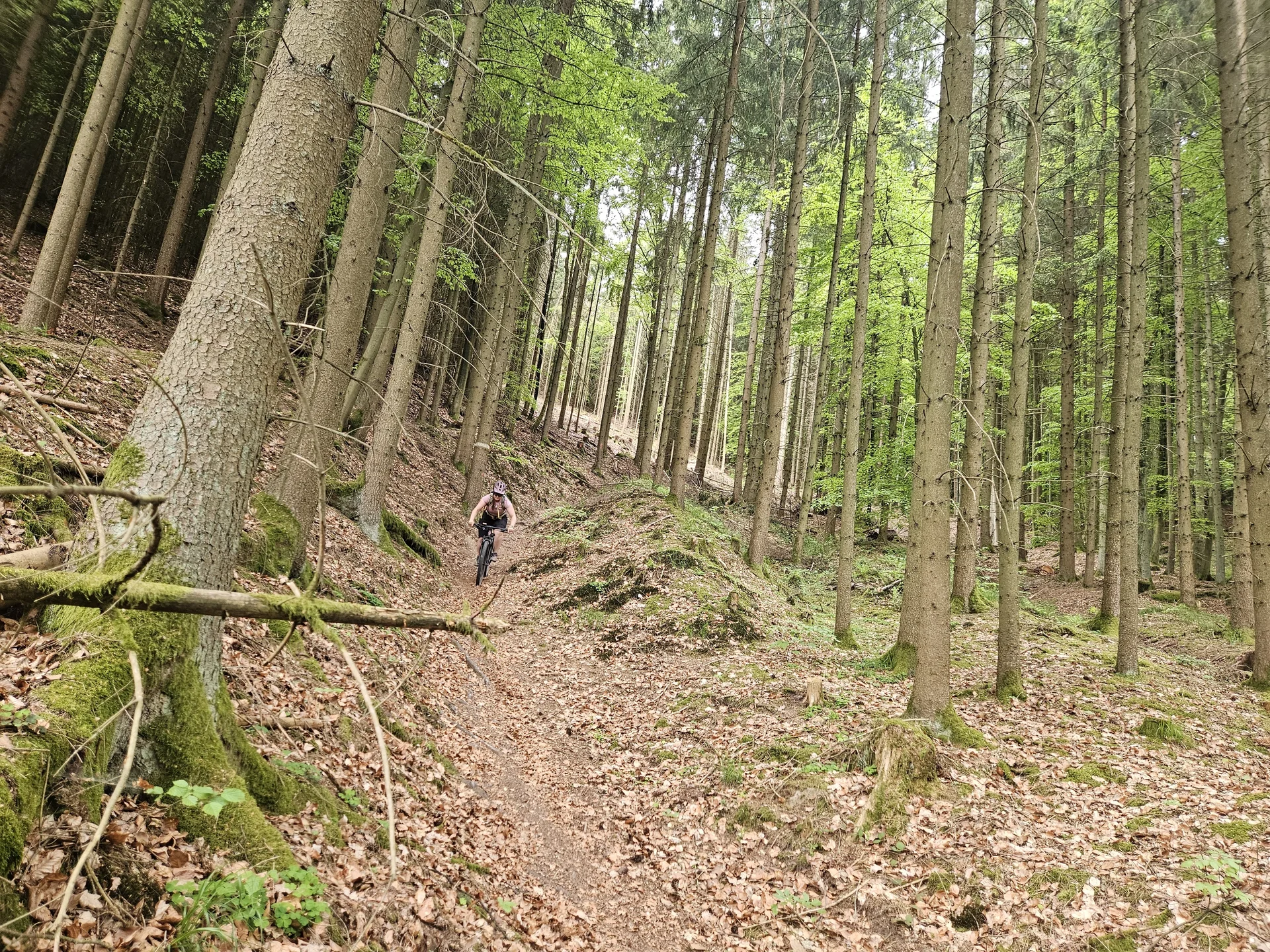 Biken im Regental | © Hartinger Manfred