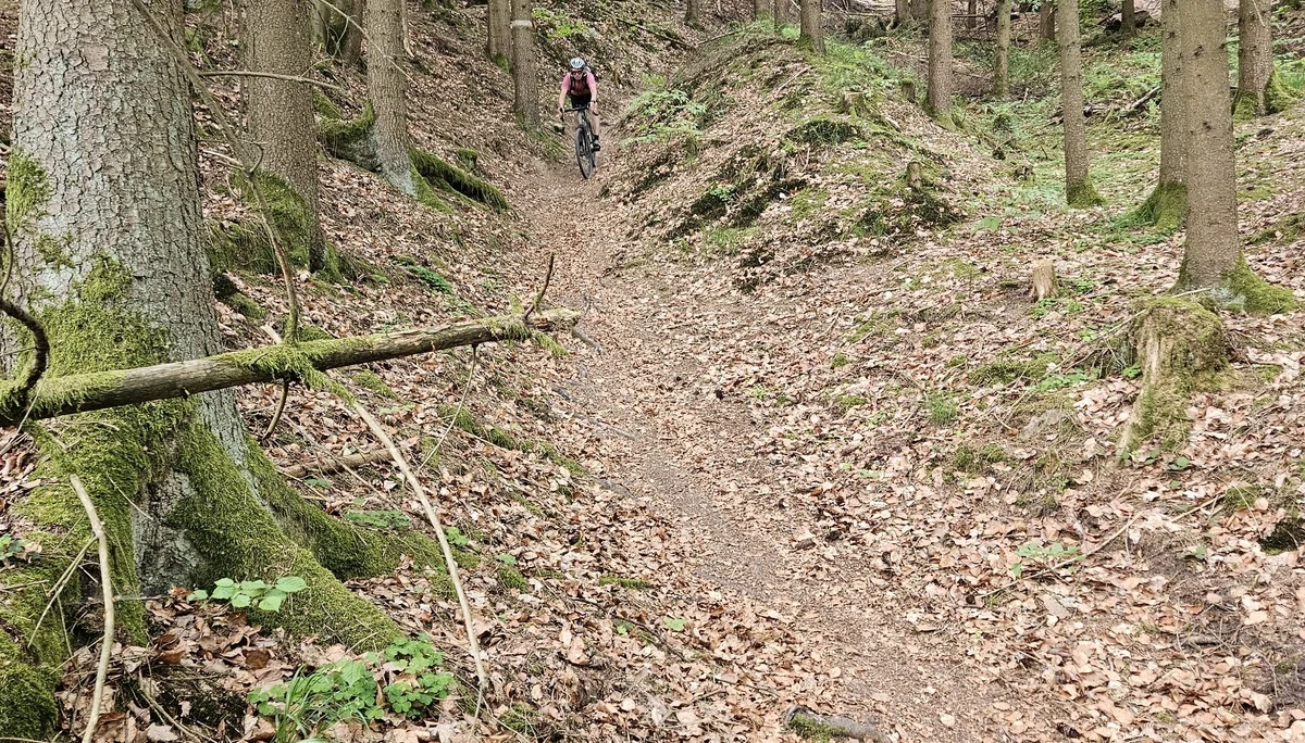 Biken im Regental | © Hartinger Manfred