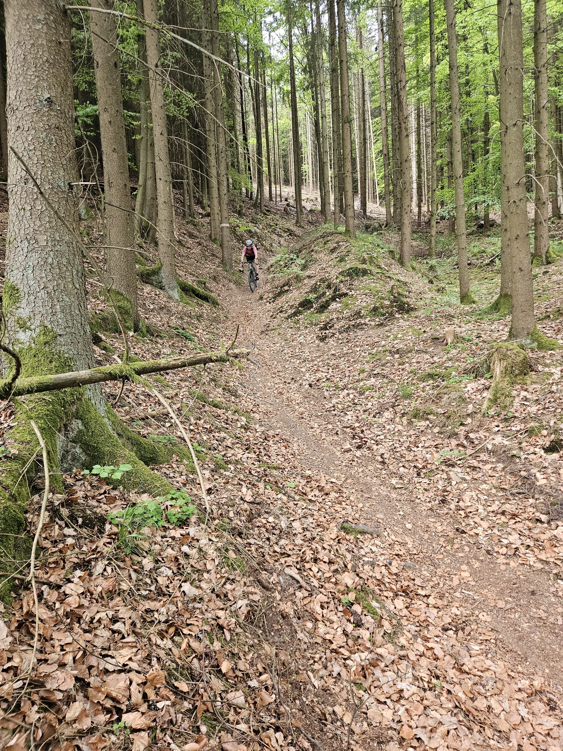 Biken im Regental | © Hartinger Manfred