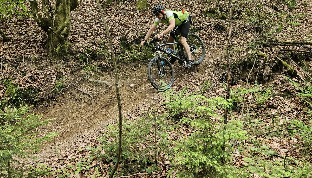 Biken im Regental | © Hartinger Manfred