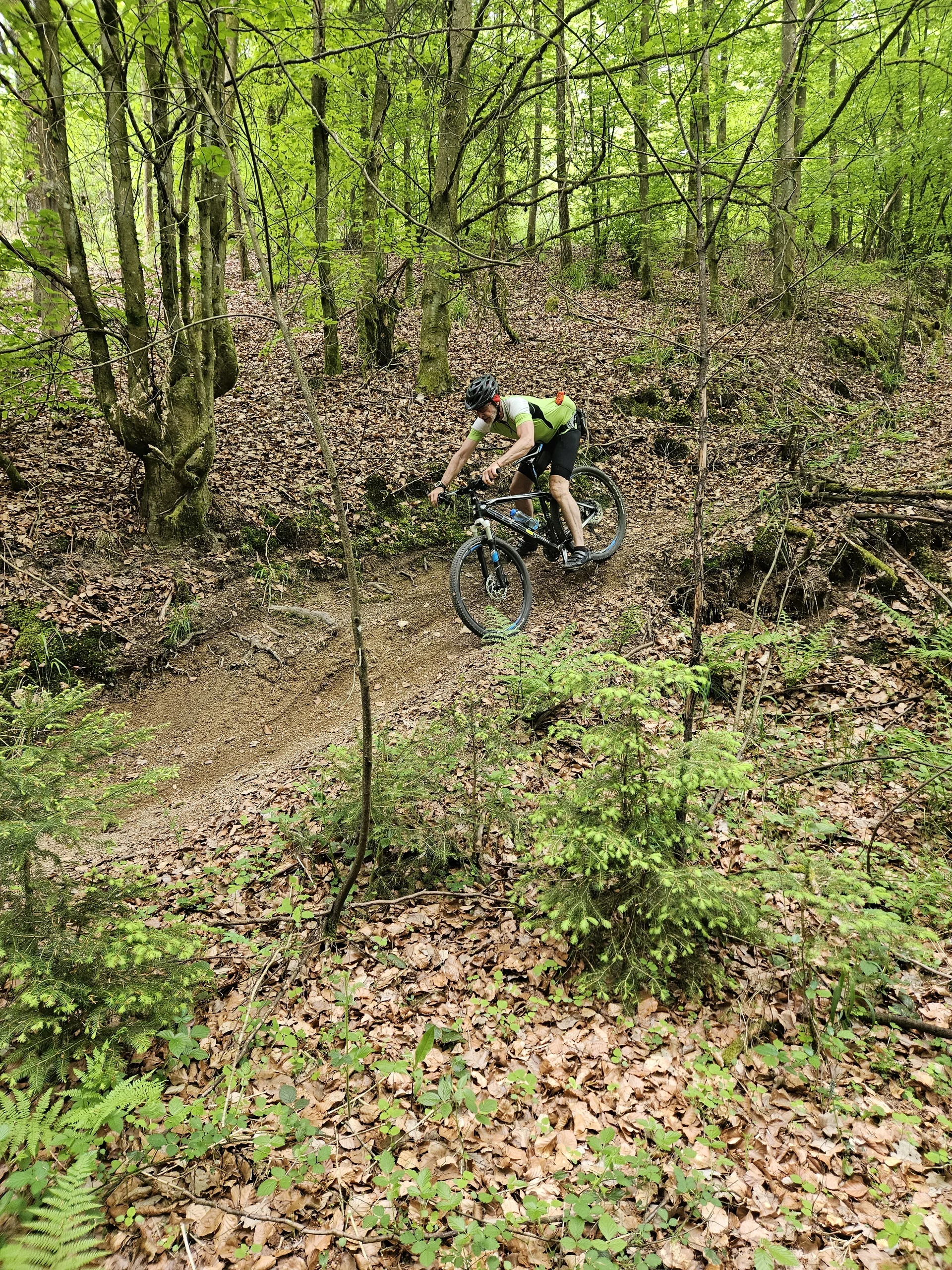 Biken im Regental | © Hartinger Manfred
