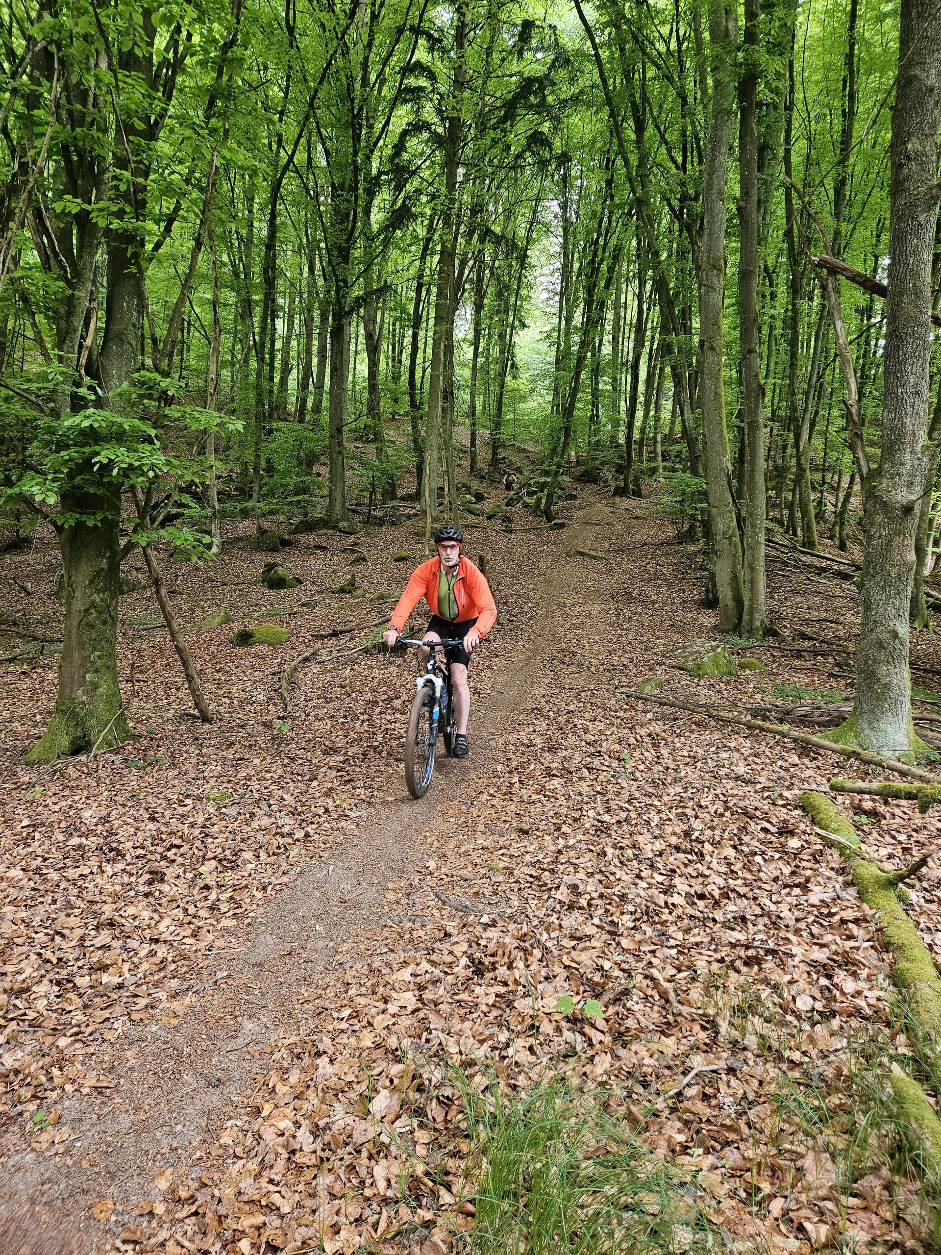 Biken im Regental | © Hartinger Manfred