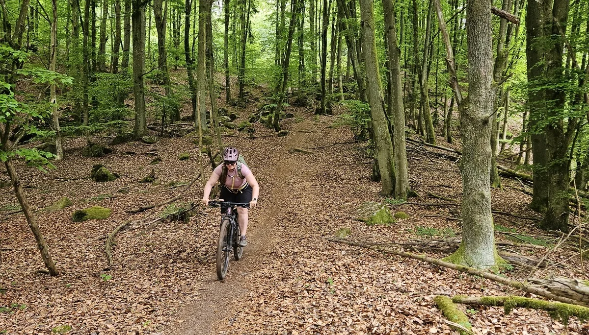 Biken im Regental | © Hartinger Manfred