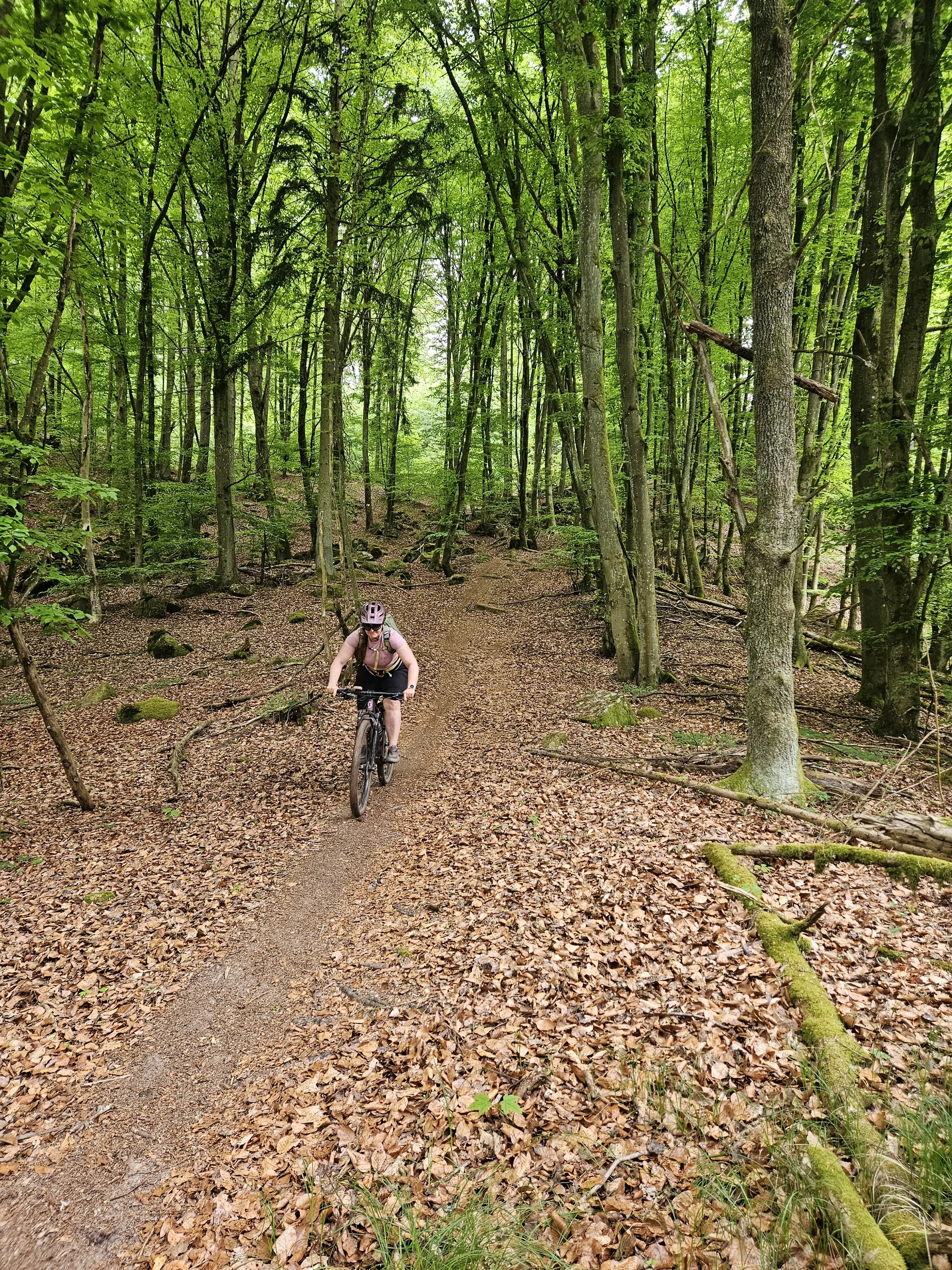 Biken im Regental | © Hartinger Manfred