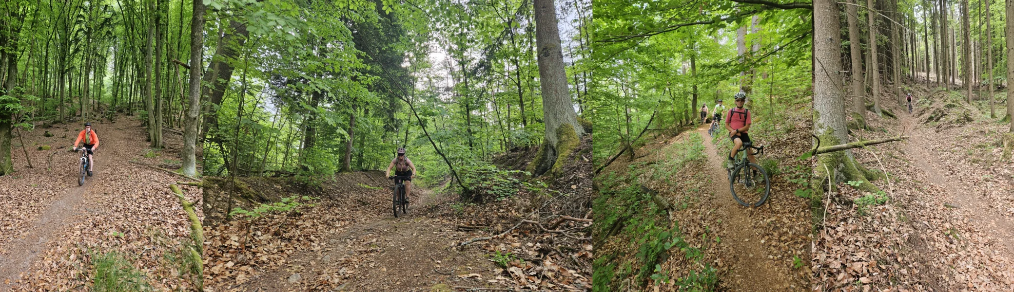Biken im Regental | © Hartinger Manfred