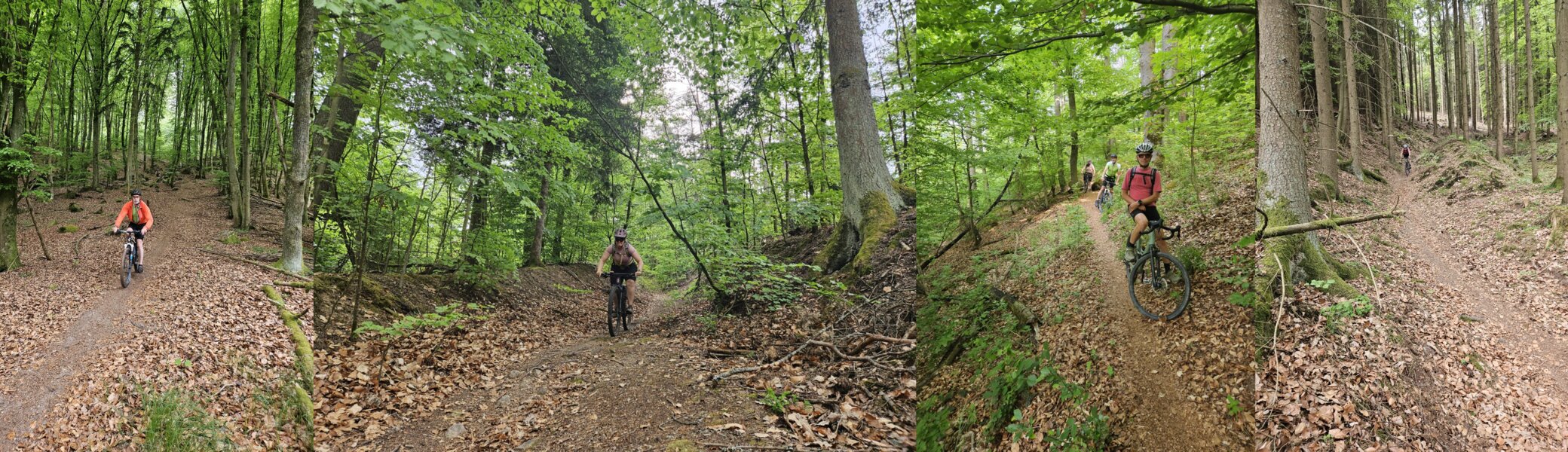 Biken im Regental | © Hartinger Manfred