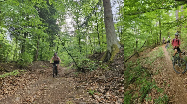 Biken im Regental | © Hartinger Manfred