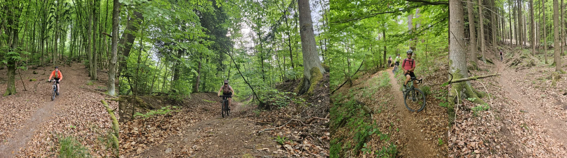 Biken im Regental | © Hartinger Manfred