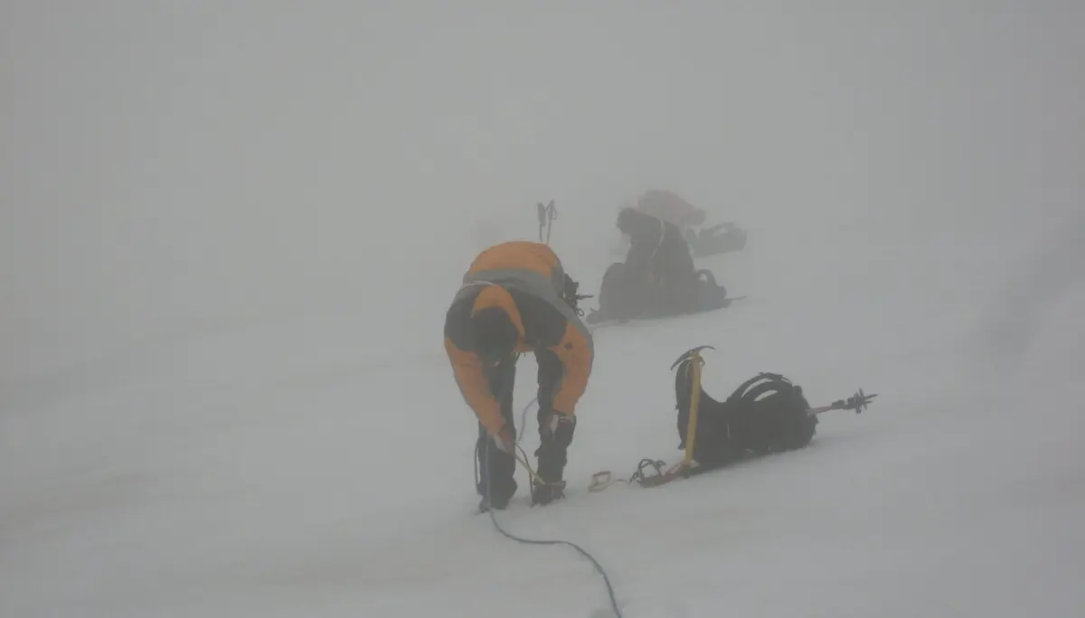 Hohe Wilde | © Hohe Wilde