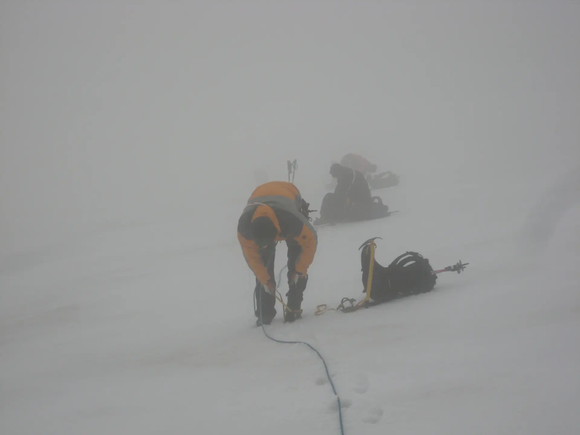 Hohe Wilde | © Hohe Wilde