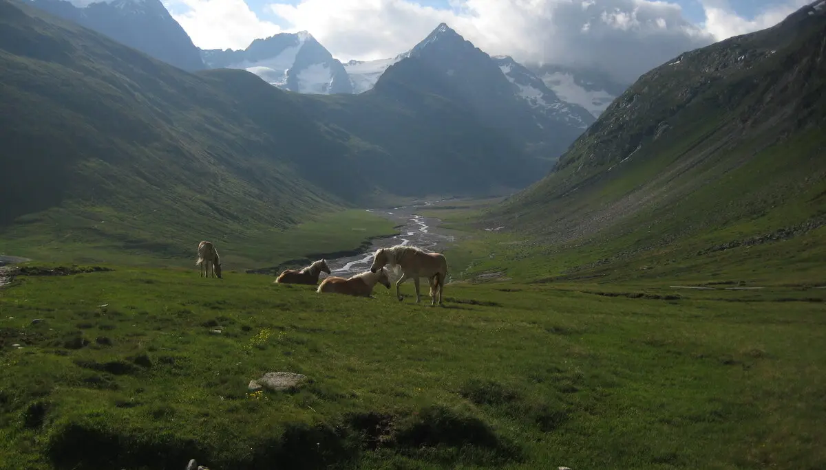 Hohe Wilde | © Hohe Wilde