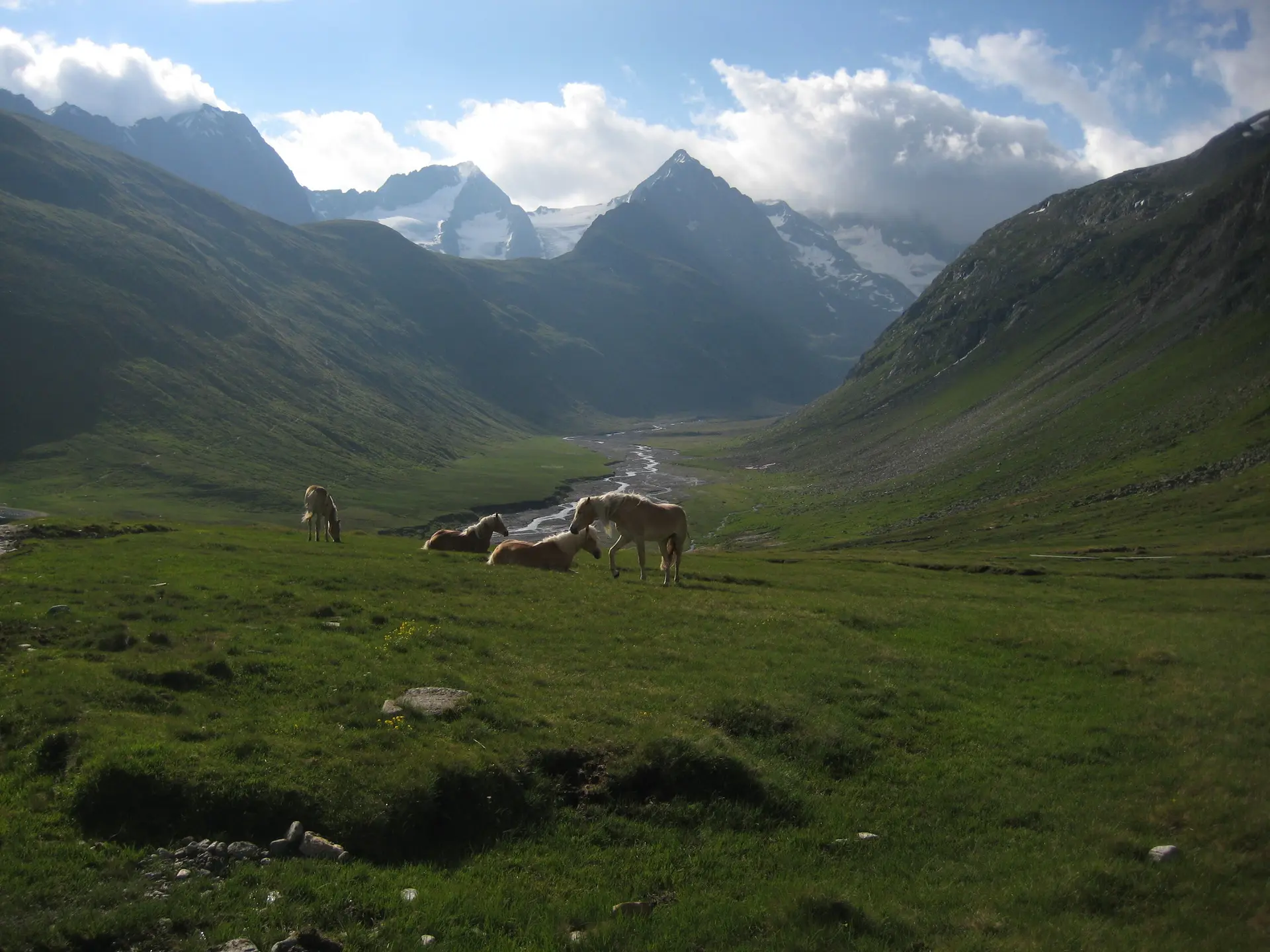 Hohe Wilde | © Hohe Wilde