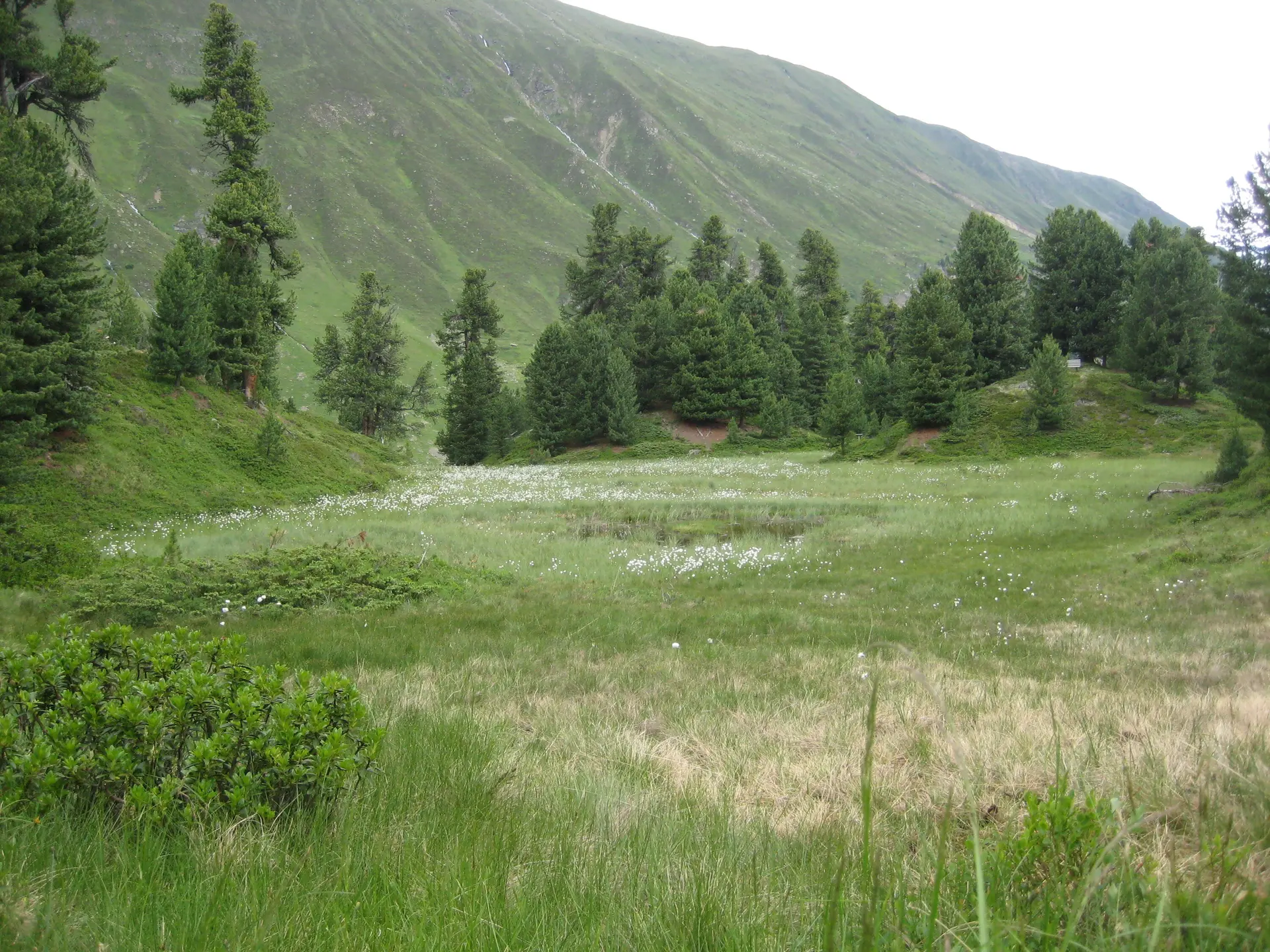 Hohe Wilde | © Hohe Wilde