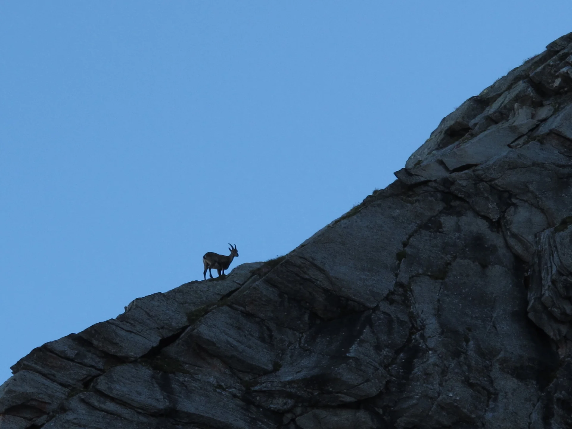 Reichenspitze  | © Reichenspitze 